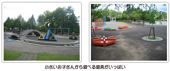 少年運動公園遊具
