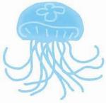 クラゲ