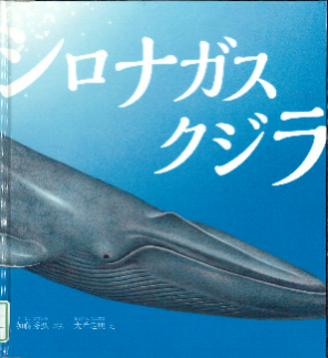 シロナガスクジラ