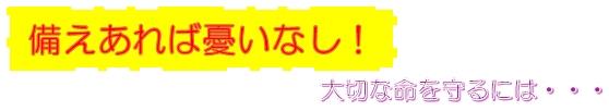 備えあれば憂いなし！　大切な命を守るには・・・